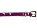 Bild 4 von Halsband Punk lila  / (Größe) L - Halsumfang ca. 36,5 bis 46 cm 