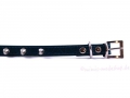 Bild 4 von Halsband Punk petrol  / (Größe) S - Halsumfang ca. 27,5 bis 34 cm
