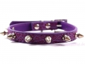 Halsband Punk lila