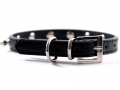 Bild 2 von Halsband Punk schwarz