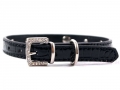 Bild 3 von Halsband Skull schwarz