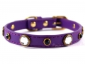 Halsband Glamour violett  / (Größe) S - Halsumfang ca. 26,5 bis 30,5 cm