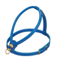 Ledergeschirr La Cinopelca Fashion Colours blau  / (Größe) M - Brustumfang ca. 38 bis 45 cm