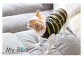 Bild 3 von Sweater PrettyPet my bear lemon