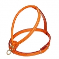 Ledergeschirr La Cinopelca Fashion Colours orange  / (Größe) M - Brustumfang ca. 38 bis 45 cm